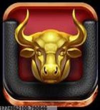 活跃的社区互动